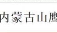 内蒙古山鹰商贸有限公司